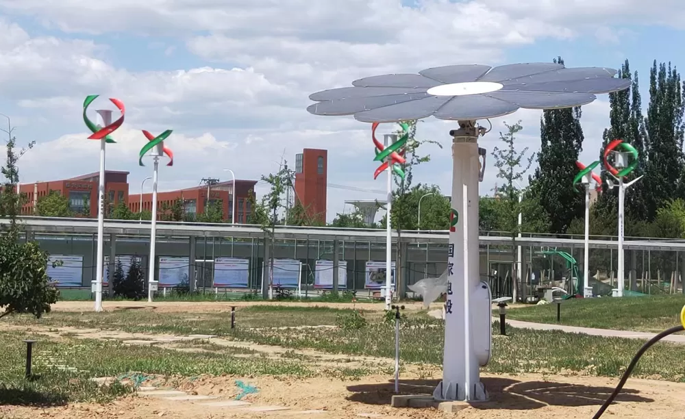 New energy Dual-axis sunflower debut in Beijing